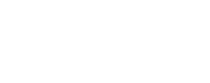 Beemok